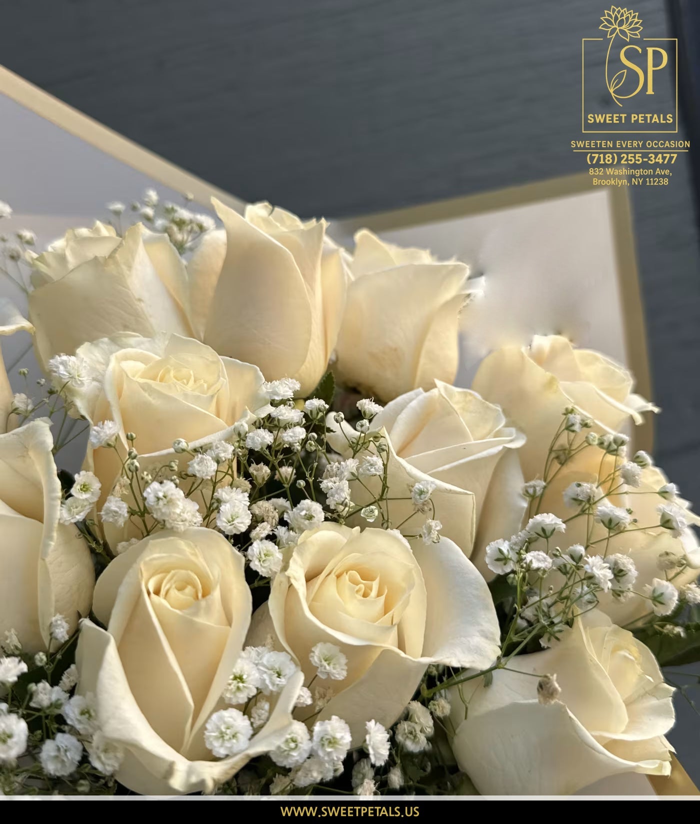 Dozen White Roses By SweetPetals