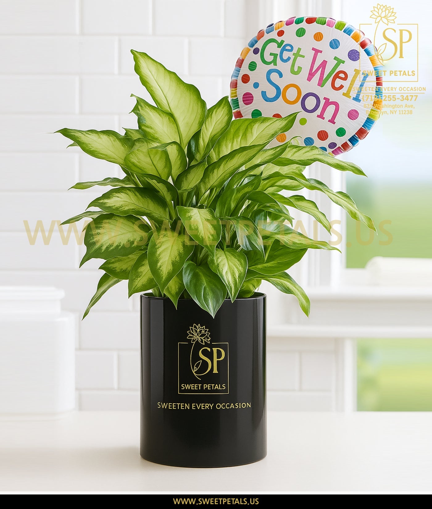 Get Well Green Plant